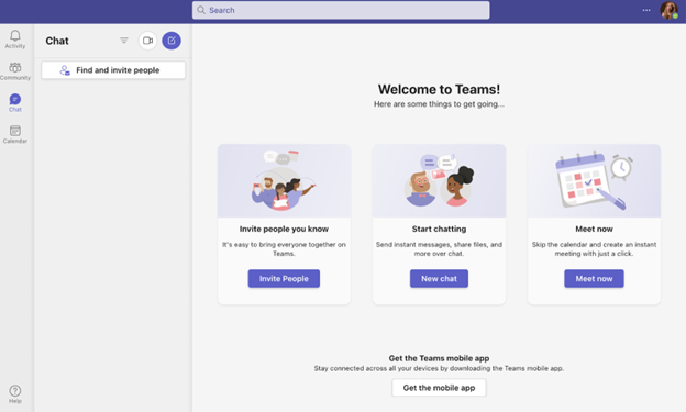 MS Teams Interface